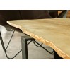 Table basse naturaliste