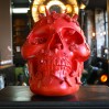 Sculpture 3D, crâne humain 
