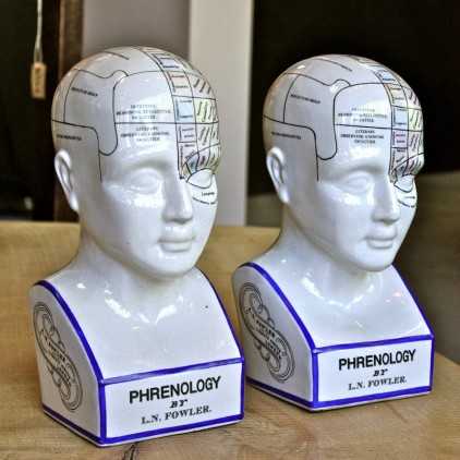 Porcelain Phrenology heads (reproduction)