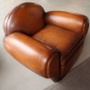 Fauteuil Club "PANTHERA"