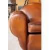 Fauteuil Club "PANTHERA"