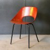 Tulip chair "Pierre Guariche