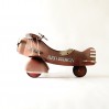 Red Baron’ pedal plane, AFC