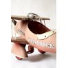 Red Baron’ pedal plane, AFC