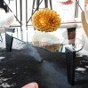Design coffee table, glass top, wood base